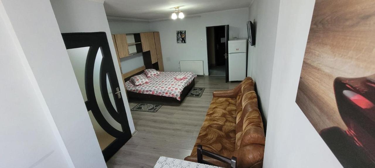 Апартаменты Flora Apartament Сату-Маре Экстерьер фото